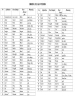 Bảng động từ bất quy tắc