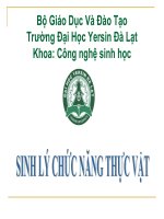 đề tài vai trò của sucrose và sự khác nhau của cytokinin trong ống nghiệm đối với sự phát sinh hình dạng của hoa hồng (hybrid trà) cv