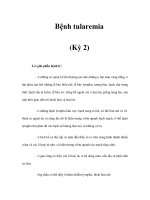 Bệnh tularemia (Kỳ 2) pot