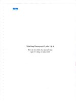 ngân hàng thương mại cổ phần việt á năm 2009 báo cáo tài chính cho năm kết thúc ngày 31 tháng 12 năm 2009