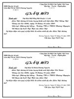 Giấy mời Liên Đội