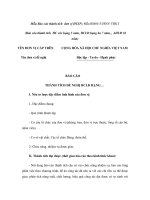 Mẫu Báo cáo thành tích đơn vị HCSN pdf