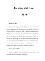 Bài giảng bệnh Gout (Kỳ 2) pot