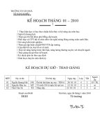 Kế hoạch tháng 1/ 2010