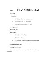 Giáo án Hoá học lớp 9 - SỰ ĂN MÒN KIM LOẠI ppt