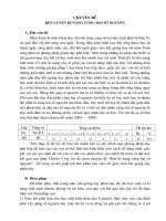 Chuyen de cong so nguyen.doc