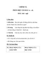 CHÍNH TẢ PHÂN BIỆT ÂM ĐẦU tr – ch DẤU: hỏi - ngã pdf