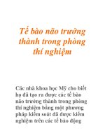 Tế bào não trưởng thành trong phòng thí nghiệm doc