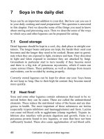 Cultivation of soya and other legumes - Part 4 ppt