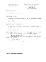 Đề Thi Học Sinh Giỏi TOÁN 11 - THPT Lục Ngạn 4 - Bắc Giang [2009 - 2010] potx