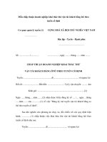 Mẫu chấp thuận doanh nghiệp khai thác thử vận tải khách bằng ôtô theo tuyến cố định doc