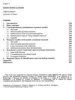 Handbook of Econometrics Vols1-5 _ Chapter 4 docx