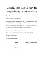 Cấp giấy phép sản xuất rượu thủ công nhằm mục đích kinh doanh. ppsx