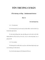 TỔN THƯƠNG CƠ BẢN (Tổn thương sơ đẳng - .fundamental lesions) (Kỳ 2) pot