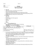 Khối 5_Tuần 29_Mới