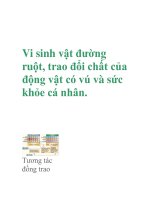 Vi sinh vật đường ruột, trao đổi chất của động vật có vú và sức khỏe cá nhân doc