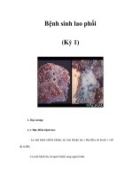 Bệnh sinh lao phổi (Kỳ 1) ppsx