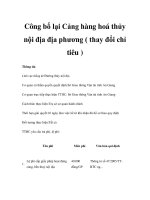 Công bố lại Cảng hàng hoá thủy nội địa địa phương ( thay đổi chỉ tiêu ) pptx