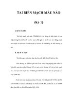 TAI BIẾN MẠCH MÁU NÃO (Kỳ 1) pptx