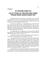 CƠ SỞ DI TRUYỀN CHỌN GIỐNG ĐỘNG VẬT - Chương 3 ppsx