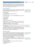 Spinal Disorders: Fundamentals of Diagnosis and Treatment Part 28 ppt