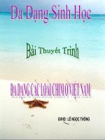 Bài thuyết trình Đa dạng sinh học 