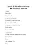 Cấp chứng chỉ hành nghề kinh doanh dịch vụ thiết kế phương tiện thủy nội địa. doc