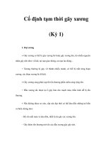 Cố định tạm thời gãy xương (Kỳ 1) pptx