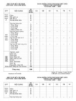 bieu diem cham nghi thuc doi