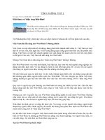 Tình huống thứ 1: Việt Nam và ''''hiệu ứng Wal-Mart'''' ppsx