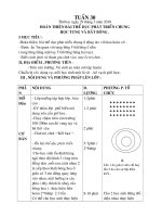 Giáo Án Lớp 3 Tuần 30.CKTKN.