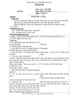 TUẦN 28  lớp 1- CKTKN