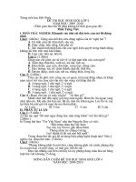 De thi HS gioi lop 4 Toan + TV