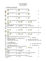 Ôn tập Tin 6 HKII