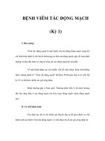 BỆNH VIÊM TẮC ĐỘNG MẠCH (Kỳ 1) pot