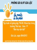 Tập huấn về giảng dạy TN-XH, Khoa học trong trường Tiểu học theo PP “Bàn tay nặn bột”