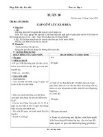 giao an lop 3 tuan 30 (CKTKN)