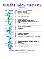 Giáo án (Tuần 31 chỉnh xong)