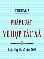 chương 5  pháp luật  về hợp tác xã