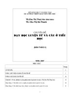 Luyện từ và câu