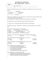 ĐỀ KIỂM TRA KIẾN THỨC TIẾNG VIỆT TUẦN 24