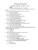 Đề kiểm tra T.Việt giữa HKII