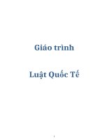 giáo trình luật quốc tế