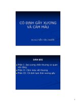 Bài giảng Cố định gãy xương và cầm máu (Phần 1) doc