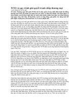 WTO và quy trình giải quyết tranh chấp thương mại pps