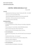 sinh hoat sao thang 11