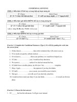 Conditional sentences (ôn tập)