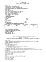 GIAO AN BUOI 2- TUAN 28 LOP 3-NHUONG