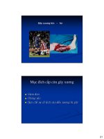 Bài giảng Cố định gãy xương và cầm máu (Phần 4) ppt