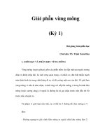 Giải phẫu vùng mông (Kỳ 1) pptx